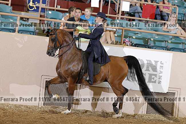 Proof 11yn_04547