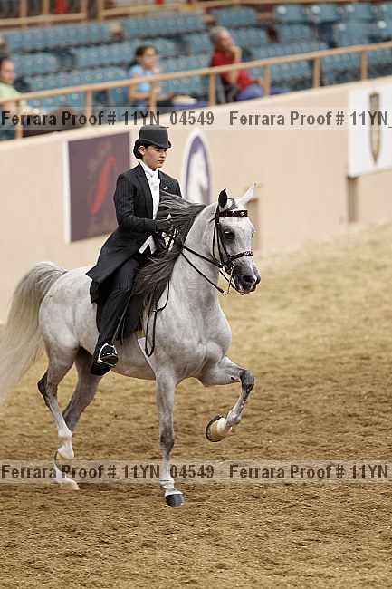 Proof 11yn_04549