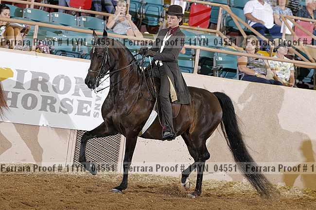 Proof 11yn_04551