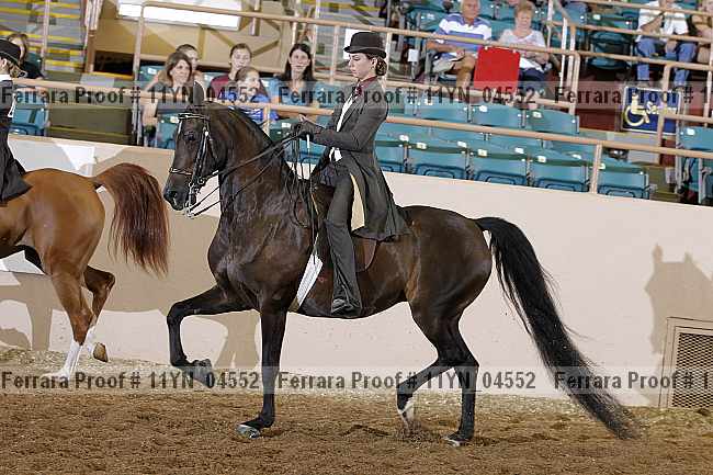 Proof 11yn_04552