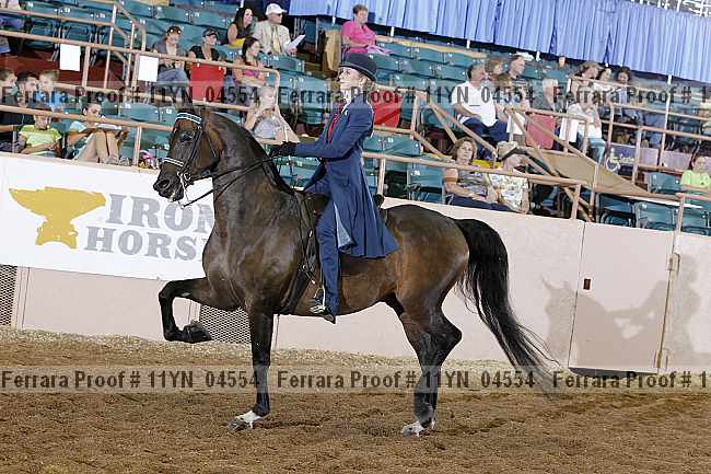 Proof 11yn_04554