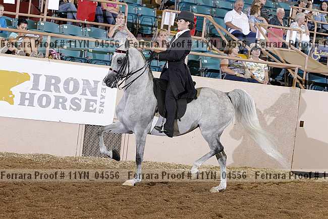 Proof 11yn_04556