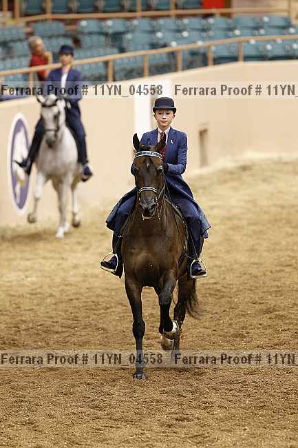 Proof 11yn_04558