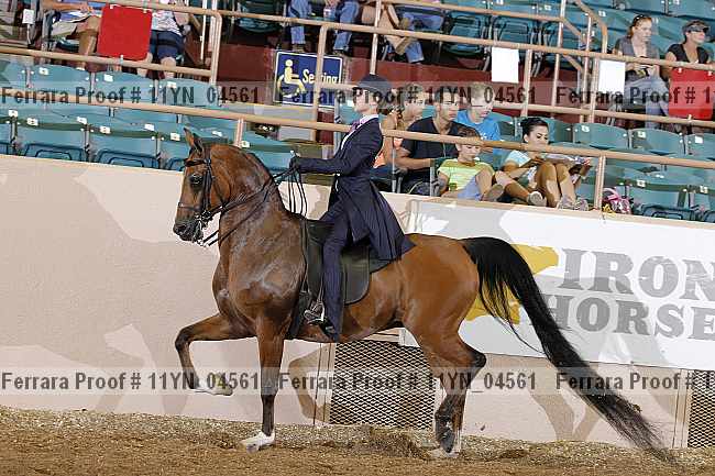 Proof 11yn_04561