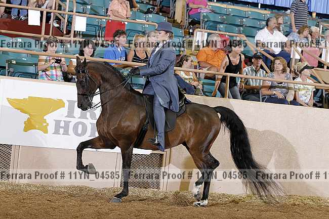 Proof 11yn_04585