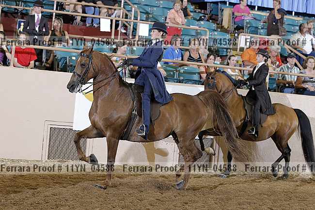 Proof 11yn_04588