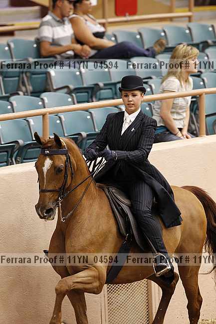 Proof 11yn_04594