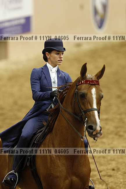 Proof 11yn_04605