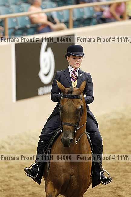 Proof 11yn_04606