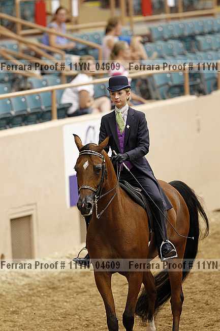 Proof 11yn_04609