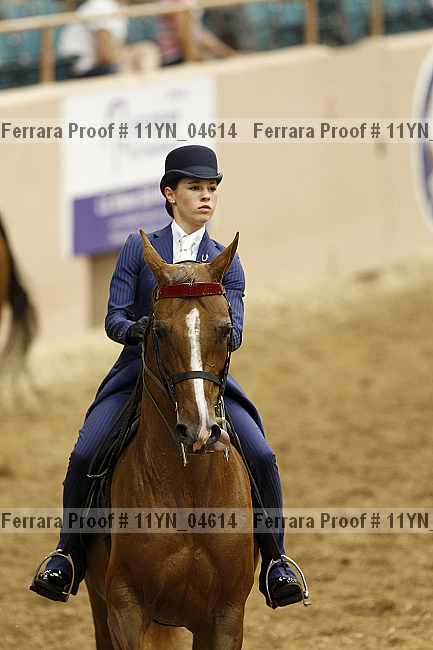Proof 11yn_04614