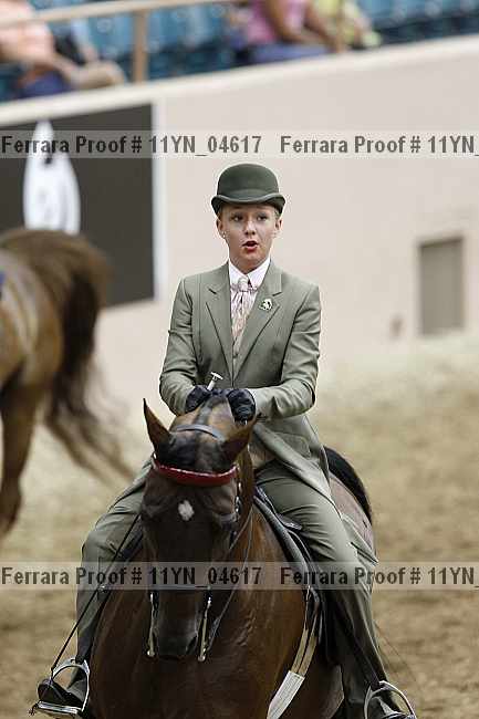 Proof 11yn_04617