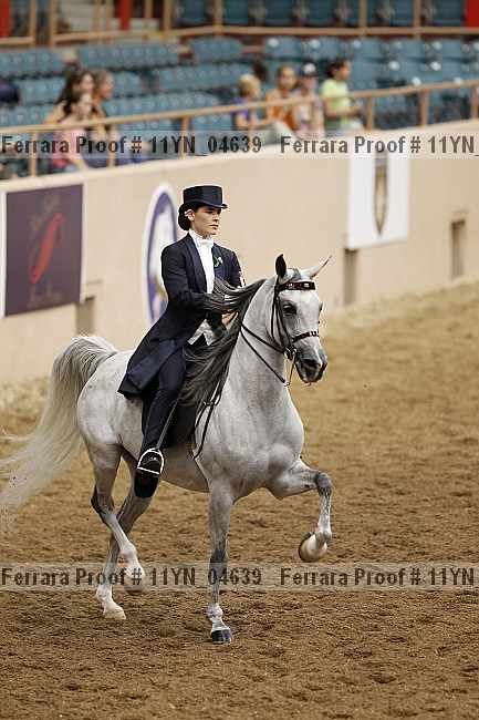 Proof 11yn_04639