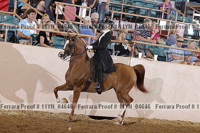 Proof 11yn_04646