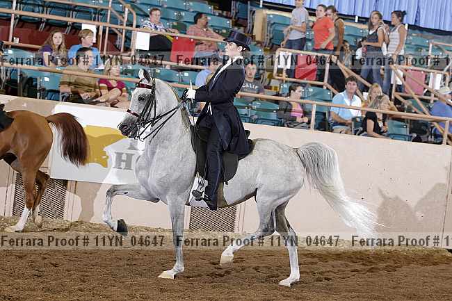 Proof 11yn_04647