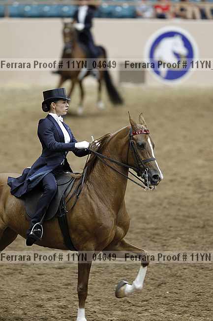 Proof 11yn_04649