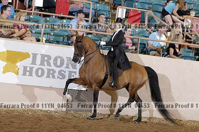 Proof 11yn_04653