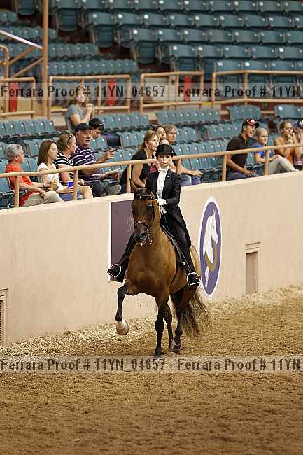 Proof 11yn_04657