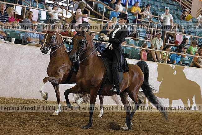 Proof 11yn_04670