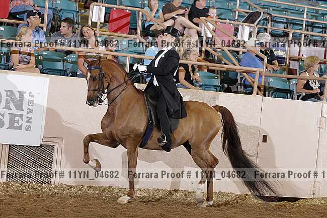 Proof 11yn_04682