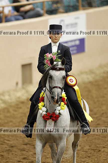 Proof 11yn_04736