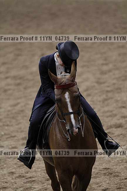 Proof 11yn_04739