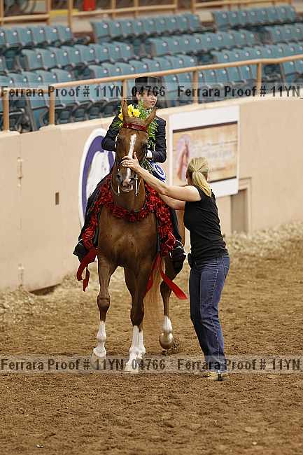 Proof 11yn_04766