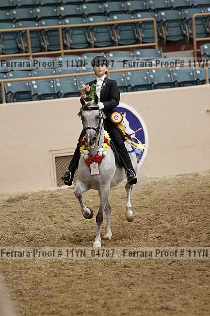 Proof 11yn_04787