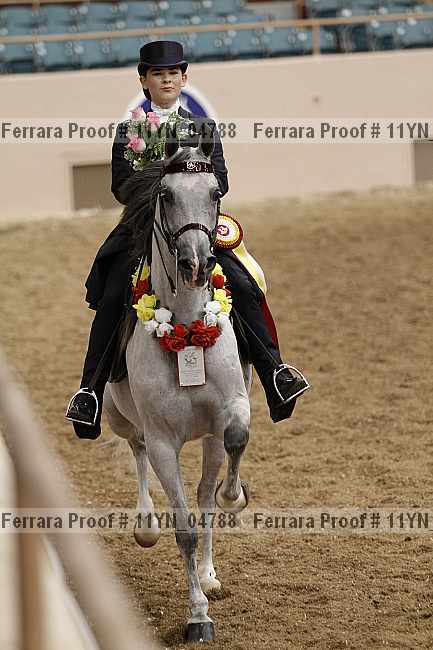 Proof 11yn_04788