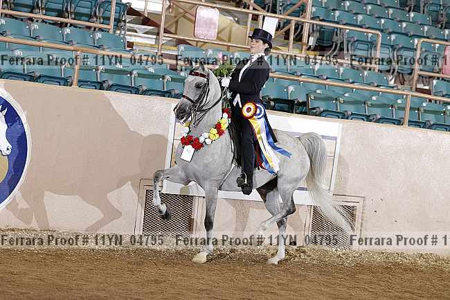 Proof 11yn_04795