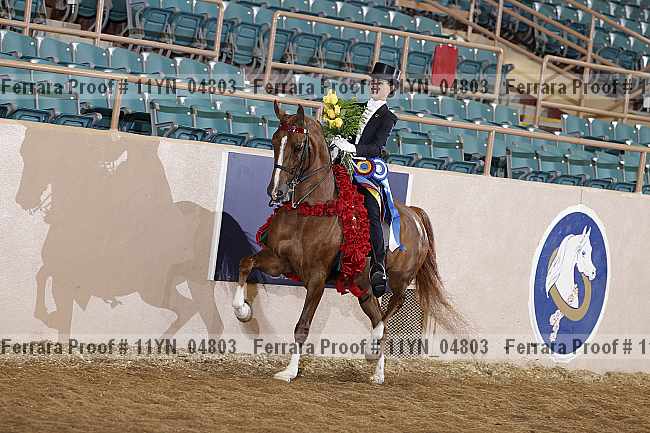 Proof 11yn_04803