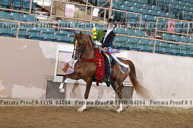 Proof 11yn_04804