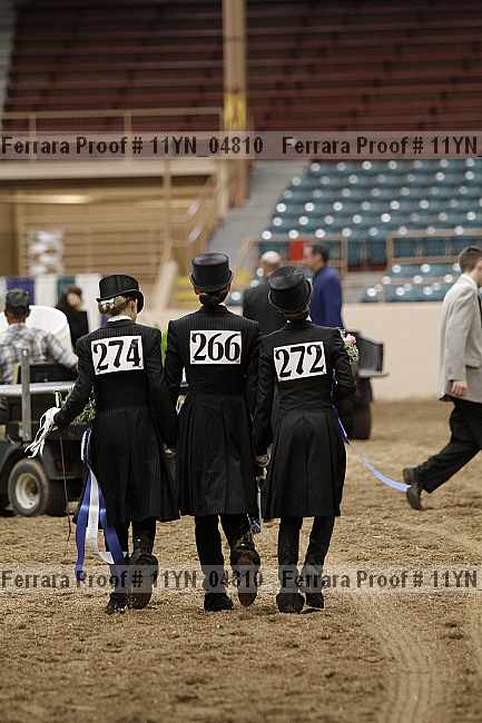 Proof 11yn_04810