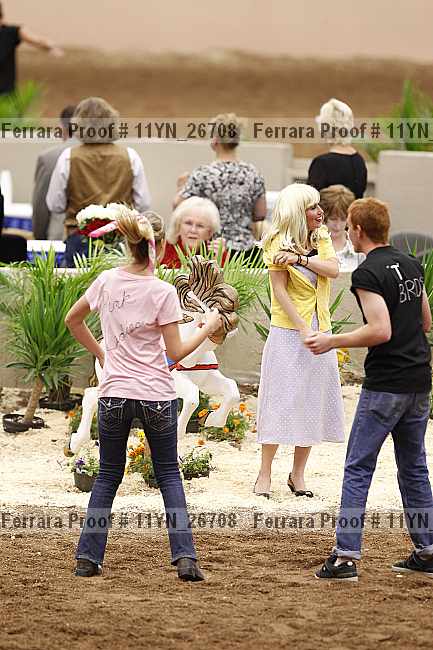 Proof 11yn_26708