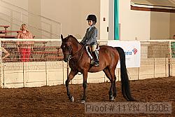 11yn_10206 proof