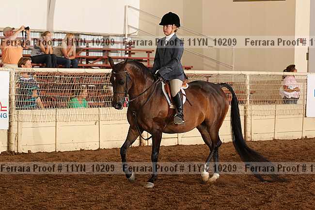 Proof 11yn_10209