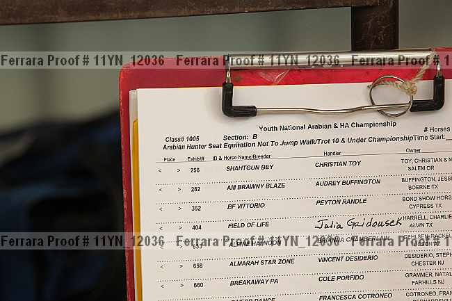 Proof 11yn_12036