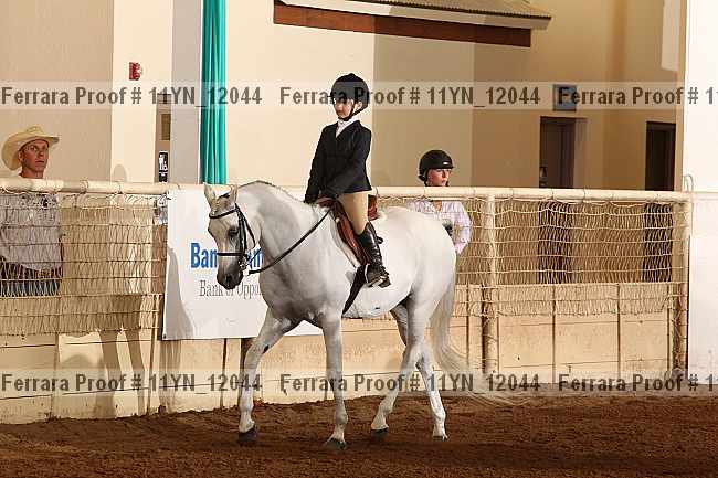 Proof 11yn_12044