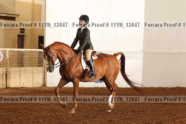 Proof 11yn_12047