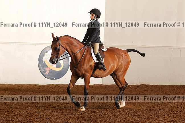 Proof 11yn_12049