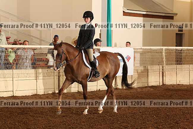 Proof 11yn_12054