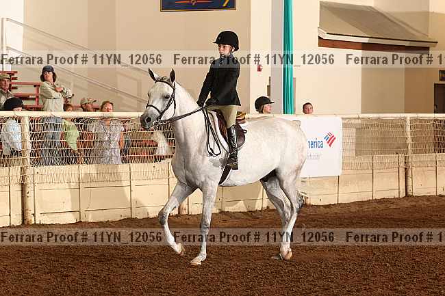 Proof 11yn_12056