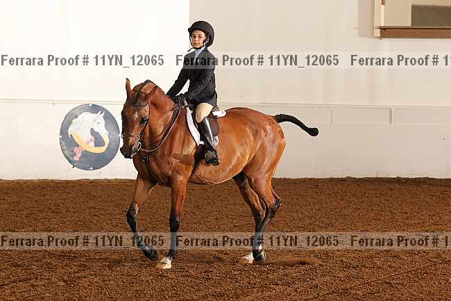 Proof 11yn_12065
