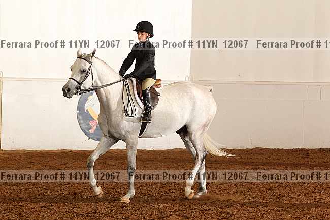 Proof 11yn_12067