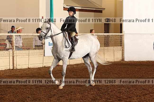 Proof 11yn_12068