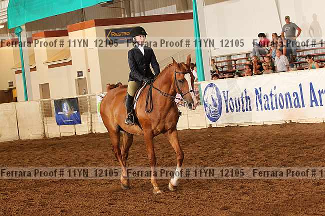 Proof 11yn_12105