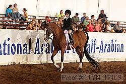 11yn_12109 proof