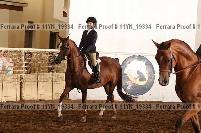 Proof 11yn_19334