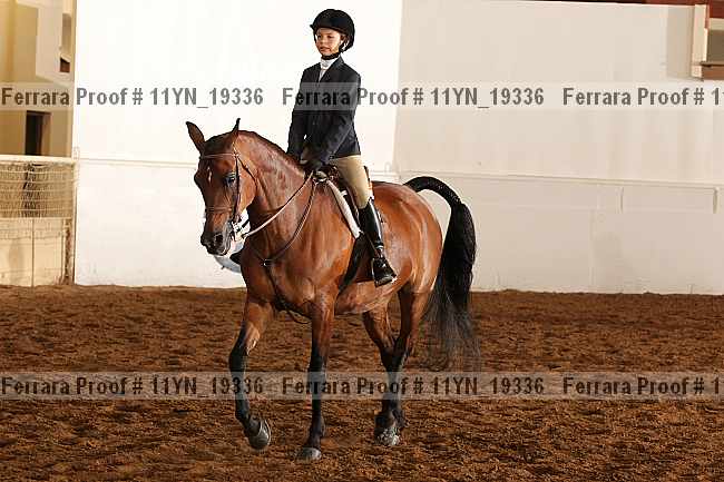 Proof 11yn_19336