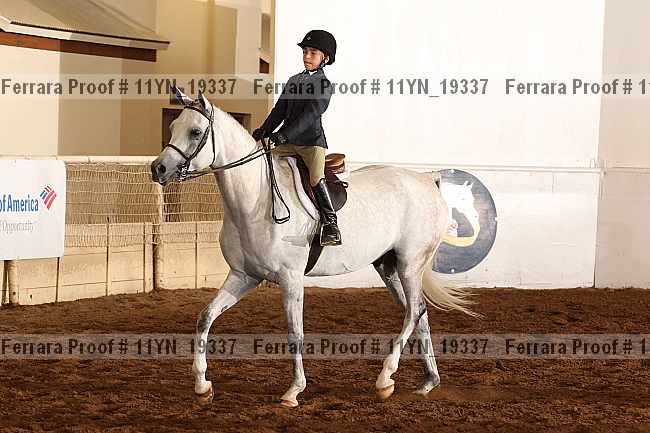 Proof 11yn_19337